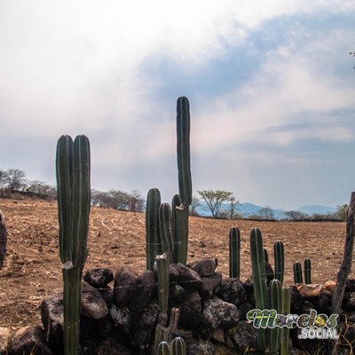 2012 - Zona arqueológica de Chimalacatlán